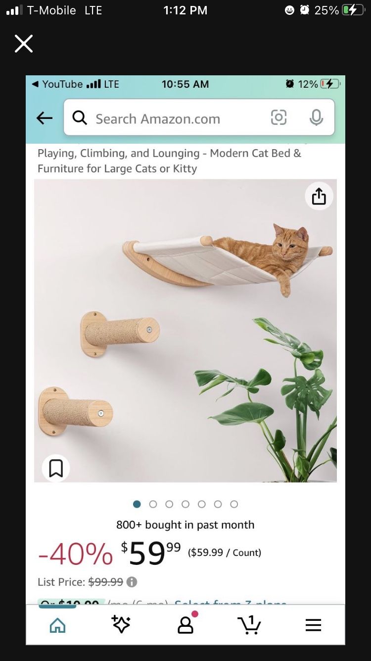 Cat Hammock