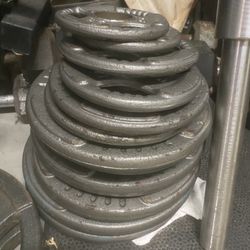 245lbs Of Olympic Plates 
