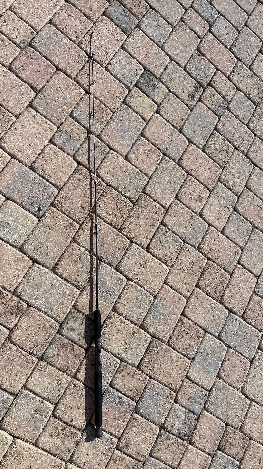 Conventional Fishing Rod