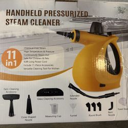 Steam Cleaner 