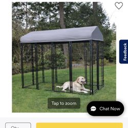 Outside Dog Kennel