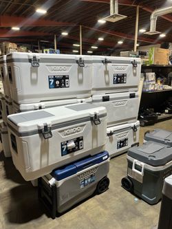 Igloo MaxCold 150qt coolers