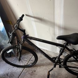 Free Bike