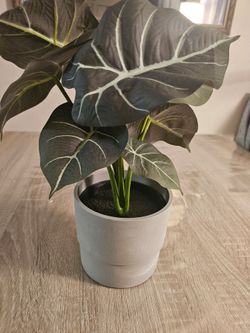 Fake plant