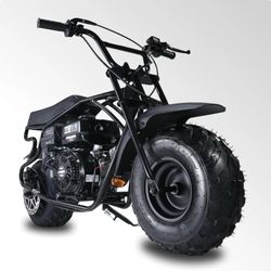196CC Off Road Mini Bike For Adults & Teens