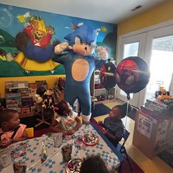 🚀 Sonic the Hedgehog at Your Event! – $95/hr