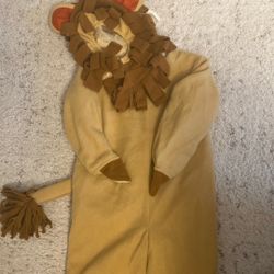 Halloween Toddler Lion 🦁 Costume