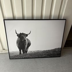 Cow Picture With Frames 