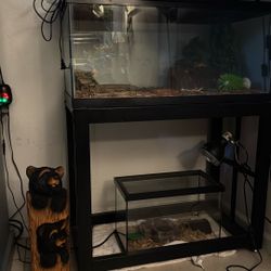 Reptile Aquarium/reptile Tank