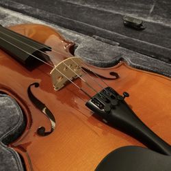 Violin