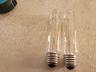 Pair Of Bulb Tubs For Cabinet Display