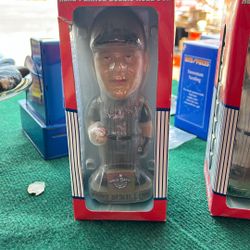 Arizona Diamondback Bobble Head Doll