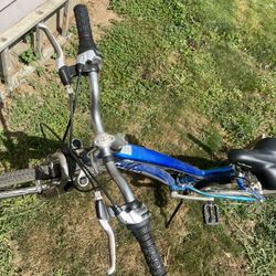 Bicicleta