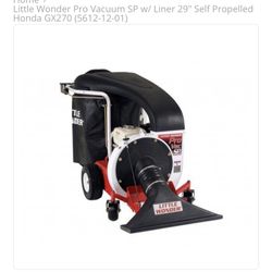 Vacuum