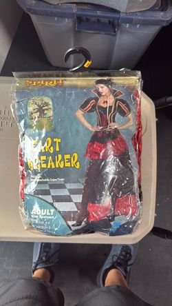 Spirit Heart Breaker Adult Halloween Costume