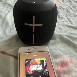 Wonderboom Speaker 