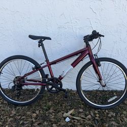 Batch Youth 24-inch Lifestyle Bicycle 