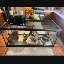 20 Gallon Tank With Everything Included 