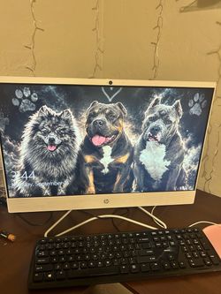 HP All-in-One Desktop Computer