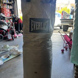 Everlast 100lb Heavy Bag 