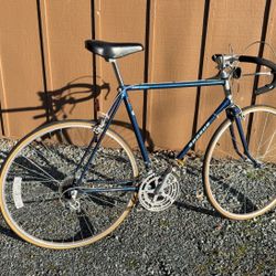 Shogun 22" Frame Road Bike