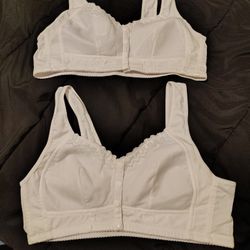 Women's Bras