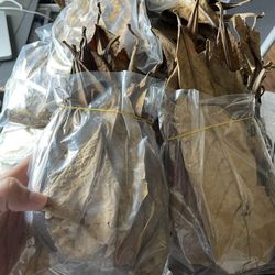 Indian Almond Leave for betta and shrimps tank