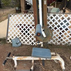 Seated Back Extension Workout Machine 