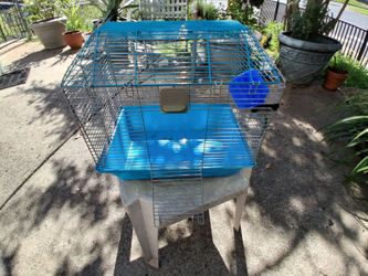 Guinea pig cage with water bottle
