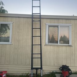 Tall Ladder 