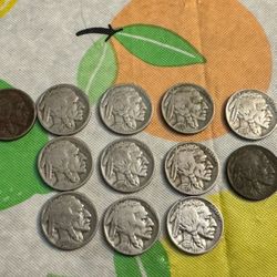 Lot Of 11 Buffalo Nickels