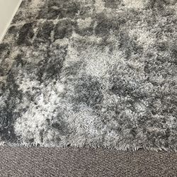 Living Room Rug