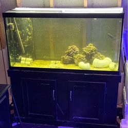 90 Gallon Drilled Aquarium 