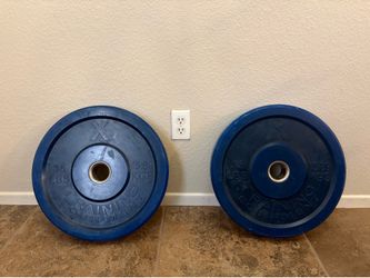 Two 35-Pound Bumper Plates