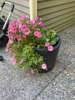 Round metal planter with flowering plants