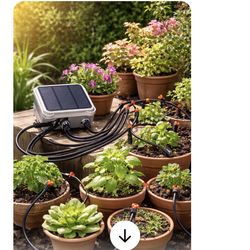 Solar automatic watering system for 20 plants