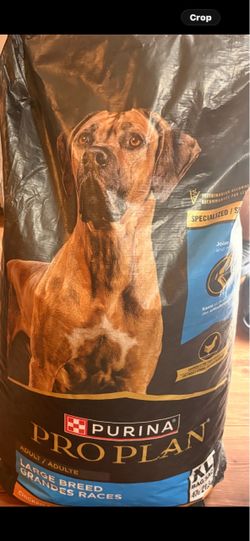Dog food