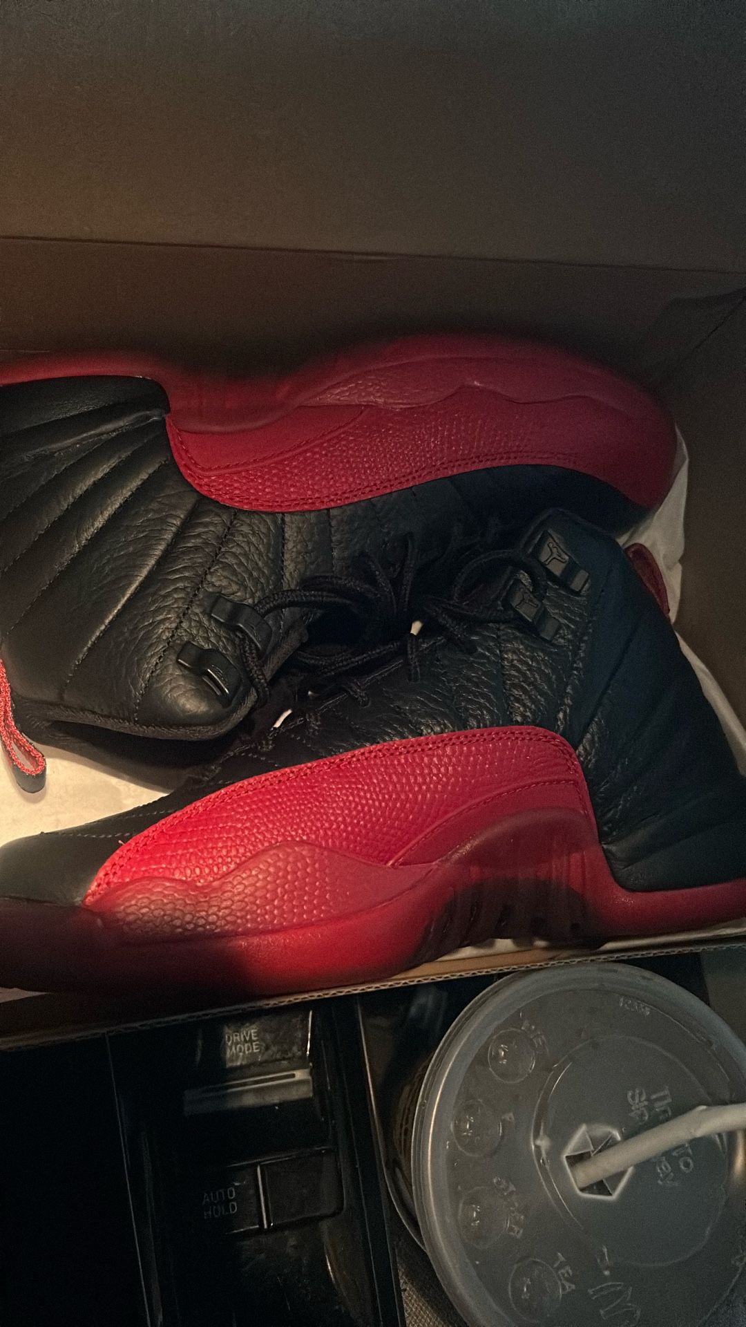 Jordan 12 flu game