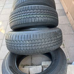 Dunlop Grandtrek Tires