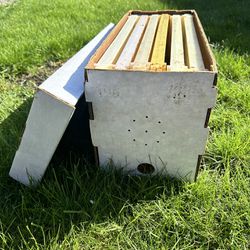 White Waxed Corrugated Cardboard Nuc Box,  Bee Transport Box With  Frames 