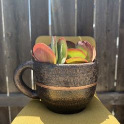 2 Tea Cup Plant Pots 