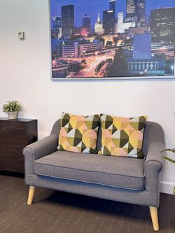 Noble House Gray Mid-Century Loveseat + 2 Pillows