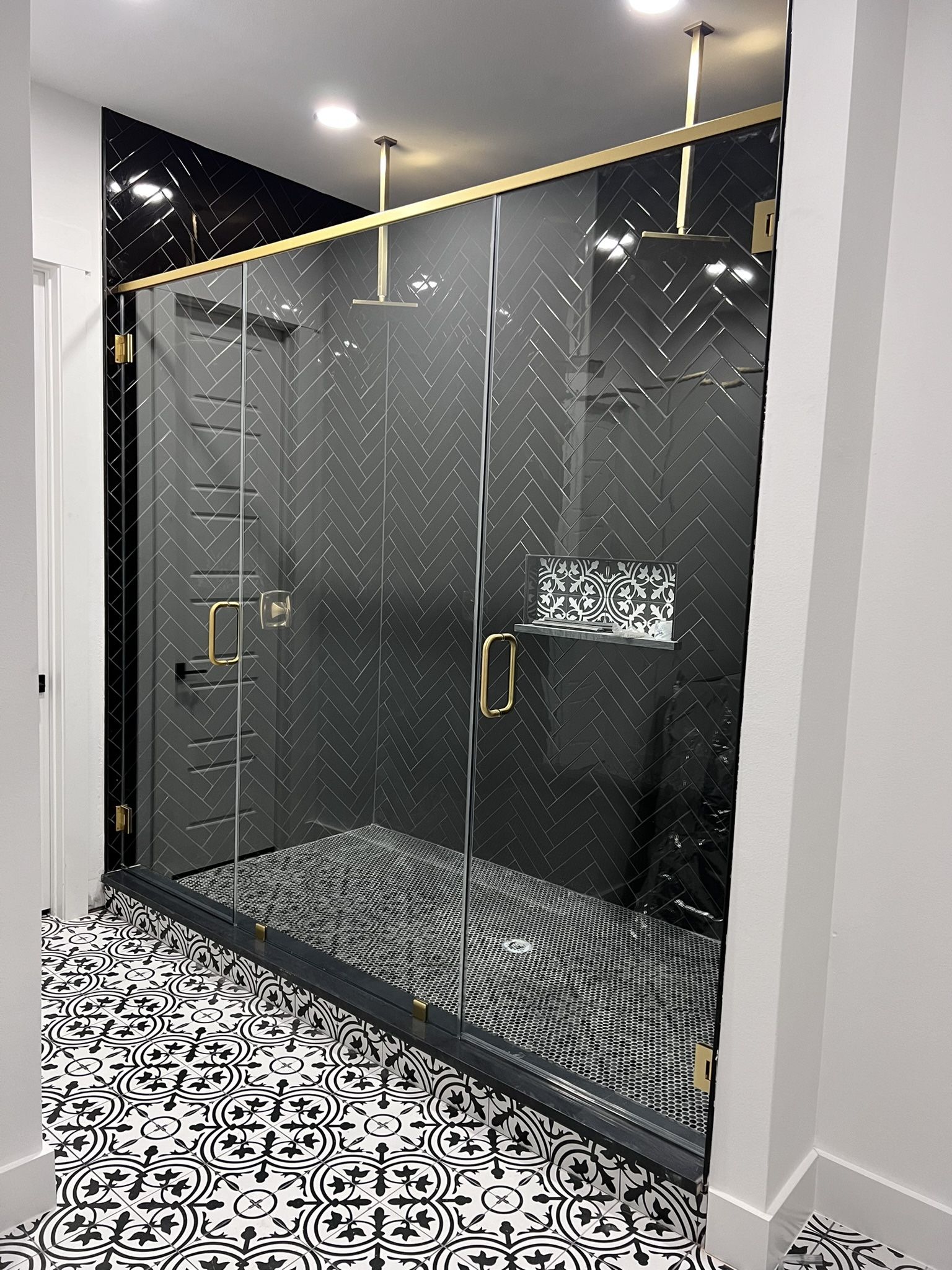 Shower Door 