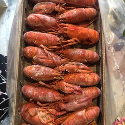 Canadian Lobster