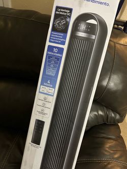 Fan