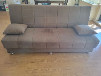 Sleeper couch with storage - $150 or best offer