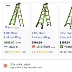 Little Giant Ladder 