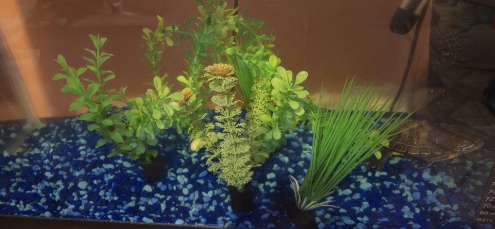 20 Gallon Aquiriam Plus Accessory