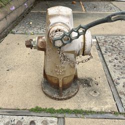 Fire Hydrant!
