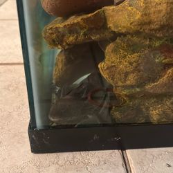 axolotl